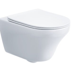 Wall-hung Toilet