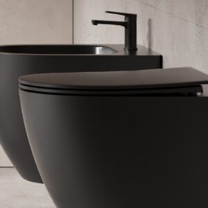 Wall-hung Toilet