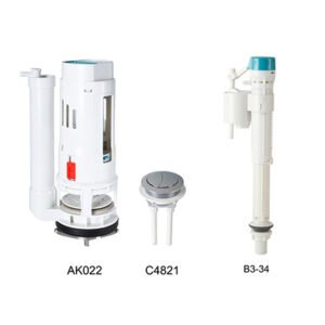 Flushing System