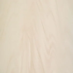 Arena Neolith