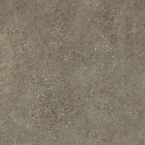 Wulong Neolith